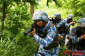 Но самый камуфляжный камуфляж - у китайцев.