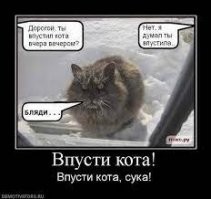 Скрины из соцсетей