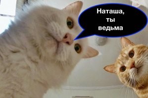 Учимся распознавать ведьм