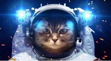 Шутки пятницы