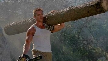 Фотоподборка