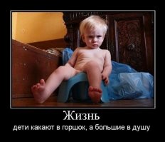 Весёлые истории о нас от Ветра Вольного