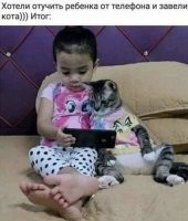 Блогер-кот горе в семье.