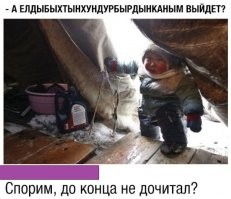 Смешные комментарии из соц.сетей