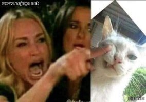 Прикольные мемы с котиком, которые зарядят позитивным настроем