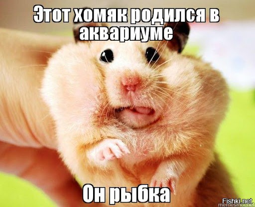 Задержанный дончанин избил трех полицейских прямо в изоляторе
