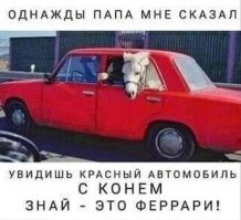 Все что нужно знать про Петербургский экономический форум