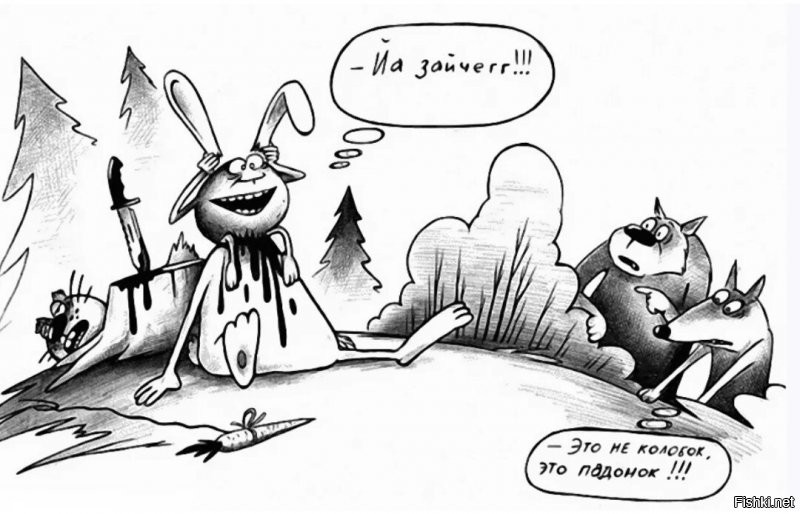 Смешные и познавательные картинки