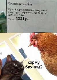 А хозяйка считается?