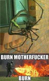 Истоки арахнофобии