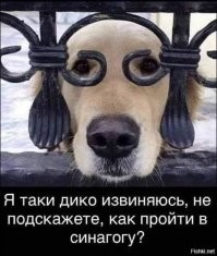 Смешные комментарии из соц.сетей