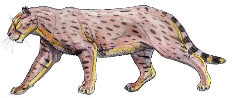 Хм, а реального-то чудовища так в список и не включили. Вот она, милая киса. Главная специализация - охота на гоминид в общем и австралопитеков в частности. Именно эти шерстяные пид....ры привили человеку инстинктивный страх темноты, ибо кто не боялся, тех эти барсики без затей харчили. И за миллионы лет они таки вымуштровали наших далеких пращуров настолько, что причина страха вымерла миллион лет назад, а мы до сих пор помним!