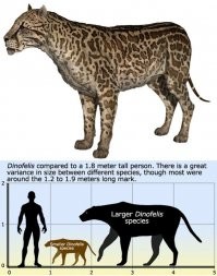 Хм, а реального-то чудовища так в список и не включили. Вот она, милая киса. Главная специализация - охота на гоминид в общем и австралопитеков в частности. Именно эти шерстяные пид....ры привили человеку инстинктивный страх темноты, ибо кто не боялся, тех эти барсики без затей харчили. И за миллионы лет они таки вымуштровали наших далеких пращуров настолько, что причина страха вымерла миллион лет назад, а мы до сих пор помним!