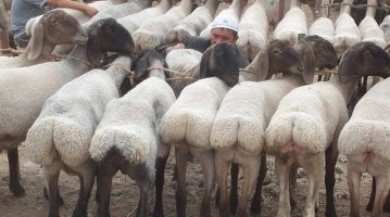 И в результате