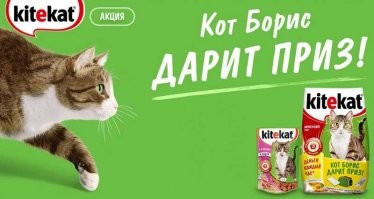 Юмор из соцсетей