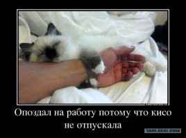 Намешалось