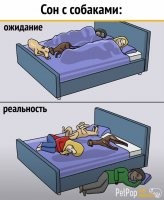 все правильно. кто этого негра на постель пустил?! =))))))))))))))))