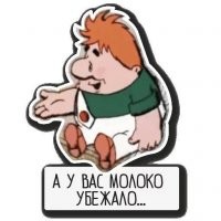 15 забавных кошачьих привычек, которые знакомы каждому 