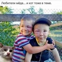 Смешные комментарии из соц.сетей