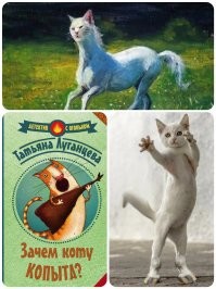Коты - оборотни!
