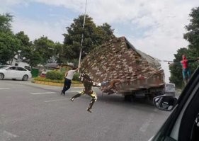 Намешалось