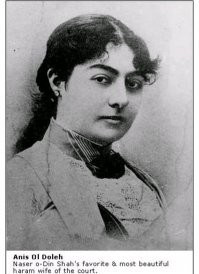 Настоящее фото Анис