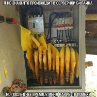 Мда,сервак от обычного щитка уже не отличаем...