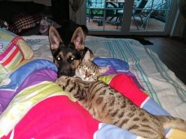 И у меня места всё меньше...