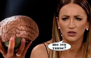 Соратница этой шмары.....