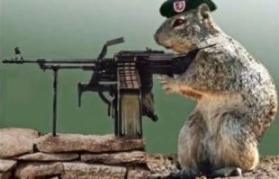 Я, похоже, даже знаю, кто виноват.

Было ведь уже.

"Силы АТО массово атакуют «боевые мыши Путина»

Волонтеры и военнослужащие украинской армии жалуются на миллиарды грызунов.

Радио Свобода сообщила информацию, что на позициях украинской армии за последние три месяца увеличилось в десятки раз количество мышей. Сначала грызуны появлялись по одиночке или небольшими группами, затем постепенно все больше и больше, сейчас на позициях их огромное количество
....
 мыши в районе Горловки свободно бегают по спящим солдатам. "

08.11.2015