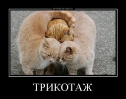 Игра слов: каламбуры в русском языке, которые точно не поймут иностранцы