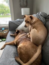 Как бы верхний и не особо виноват.