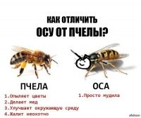 22 любопытных факта обо всем на свете