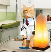 Что-то нам недоговаривают эти пакистанцы. 

Два года как уволен... 
Оперировал в присутствии младшего медперсонала... 
Да и не первый раз. 

Прикрывают кого? 
Или деньги так зарабатывают?