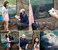 Чепто напомнило.