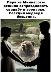 Смешные и познавательные картинки