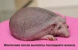 Да, банально, но...