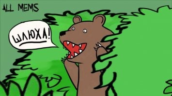 Смешные и познавательные картинки