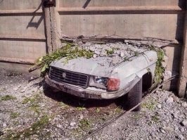 Не рушьте их розовый мирок. Пусть они реально думают, что это старенький гольф пробил забор.