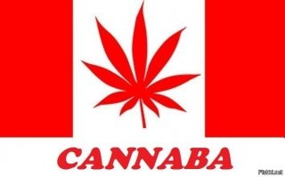 25 по-своему гениальных названий поддельных брендов