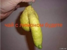 18 фотографий предметов, которые похожи на что-то другое