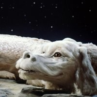 16 фотографий на которых всё не то, чем кажется