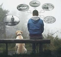 15 отважных животных, которые достойны тысячи медалей 