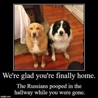 Подборка картинок. Вечерний выпуск