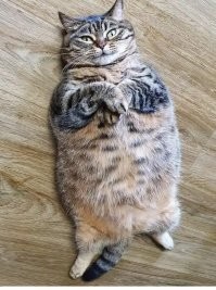 А может и нет...