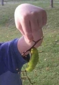 Всё вразнобой