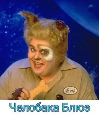 Подборка картинок. Вечерний выпуск