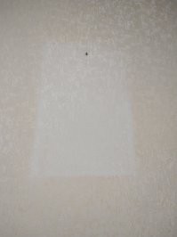 Курю в комнате, в квартире живу 5 лет, никогда не обращал внимание, пока не снял картину со стены))