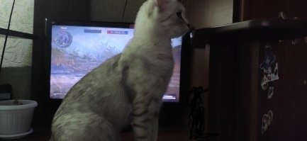 Меня мой тоже унижает