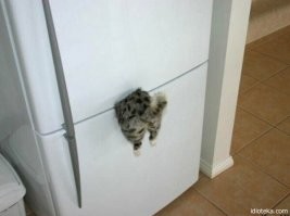 Маленькие шедевры дизайна